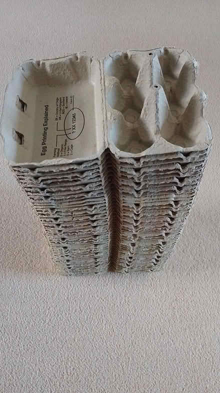 Photo of free Egg boxes (Crosspool S10) #1