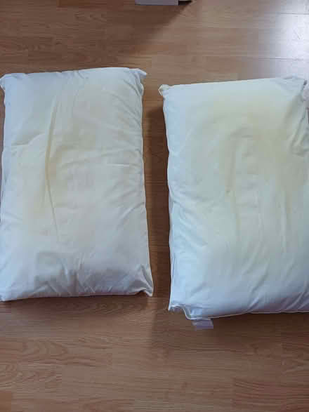 Photo of free Old pillows (BT8) #1