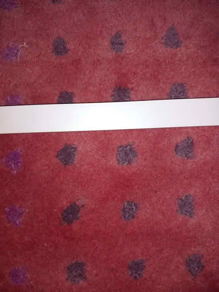 Photo of free Curtain rail (Bevendean BN2) #3