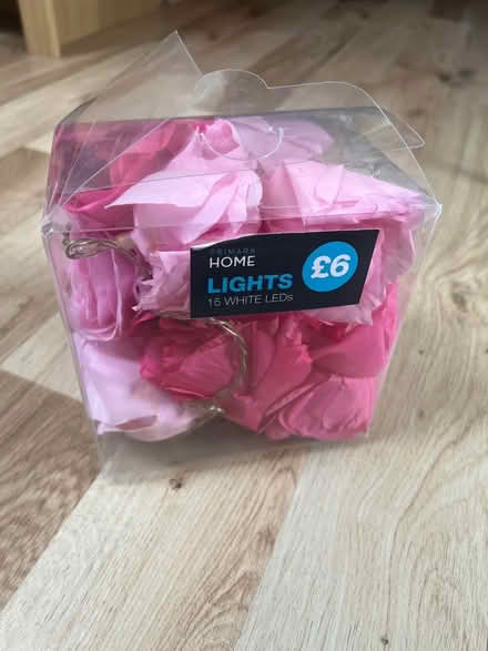 Photo of free Primark Rose Lights (Gilmerton Dykes Avenue) #1