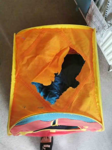 Photo of free Chad Valley Playtent 90cm (Hillingdon UB10) #3