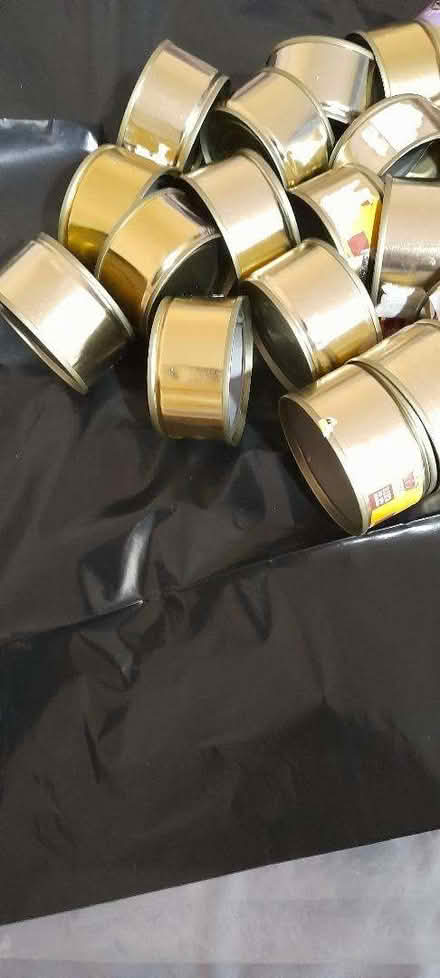 Photo of free 40 + small clean cat food tins,cleaned, for Craft project? (Wake Green B13) #2