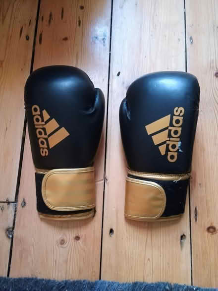 Photo of free Boxing gloves (Devon Park) #2