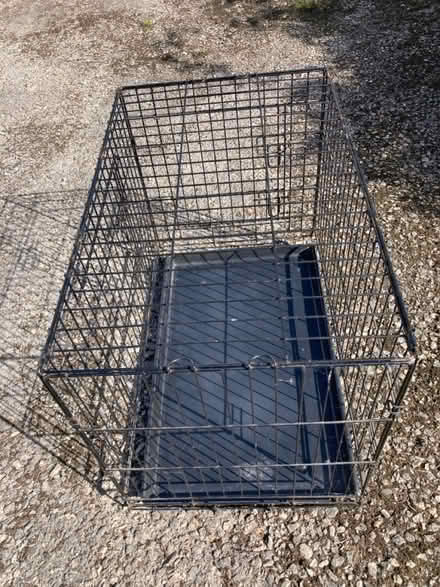 Photo of free Dog crate (Kingsway) #3