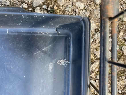 Photo of free Dog crate (Kingsway) #4