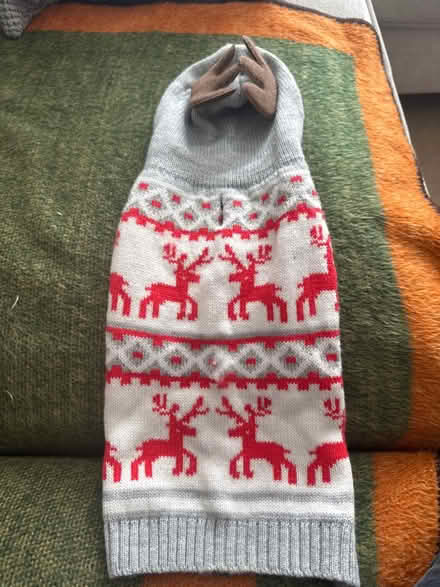 Photo of free Christmas dog jumper (Soham, CB7) #1