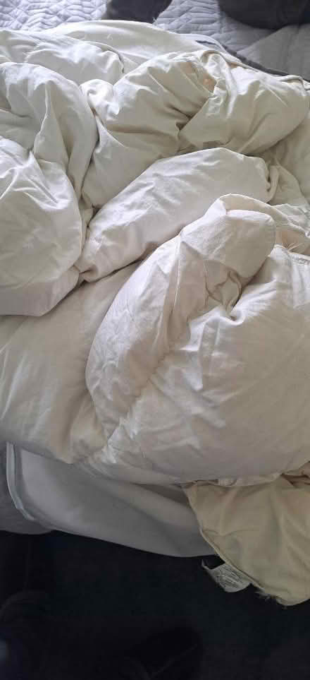 Photo of free 13.5 tog duck feather and down duvet king size (Woodingdean BN2) #1