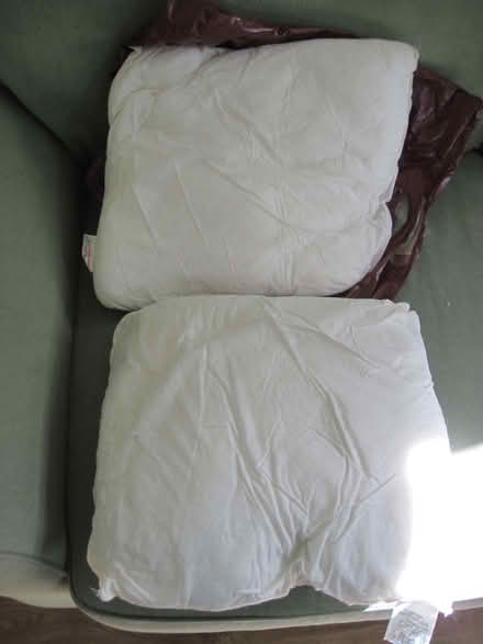 Photo of free (old) cushion pads (Cambuskenneth FK9) #1