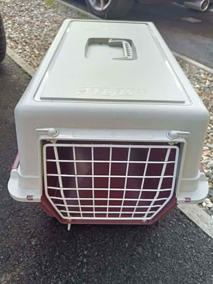 Photo of free Cat basket and litter tray (Abingdon-on-Thames OX14) #2