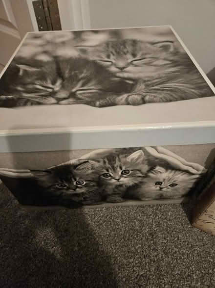 Photo of free Storage boxes (Frindsbury Extra ME2) #2