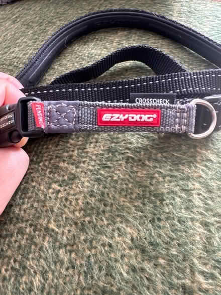 Photo of free Dog harness (Soham, CB7) #1