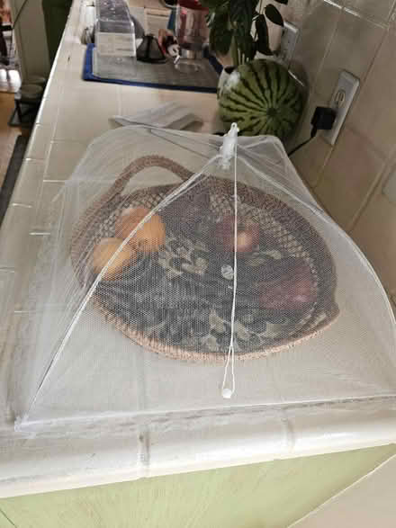 Photo of free 3 Mesh Food Covers (South San Francisco) #2