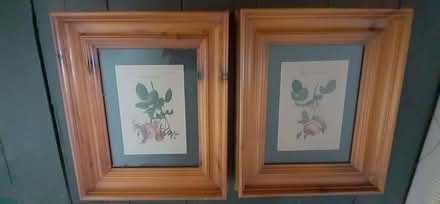 Photo of free Two framed prints of roses (Bexleyheath DA7) #1