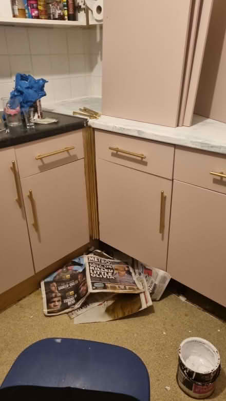 Photo of free dusty pink paint (BR5) #1