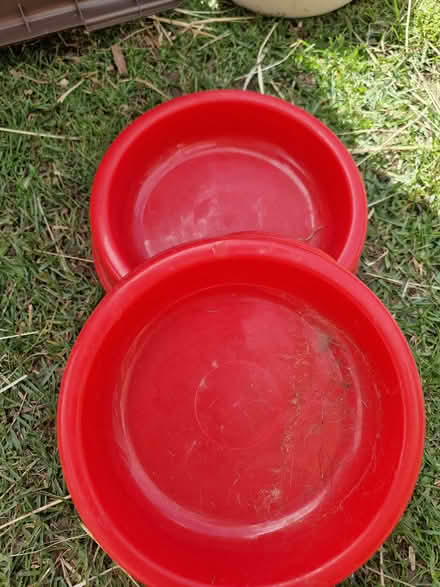 Photo of free 2 plastic small animal feed bowls (Fromefield BA11) #1