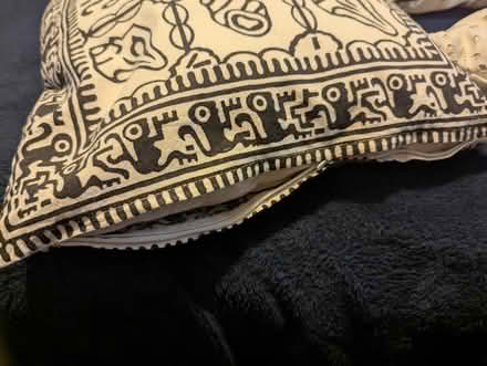 Photo of free White Cushions (M20 Withington) #3