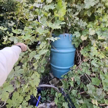 Photo of free Water collecter (Langley) #3