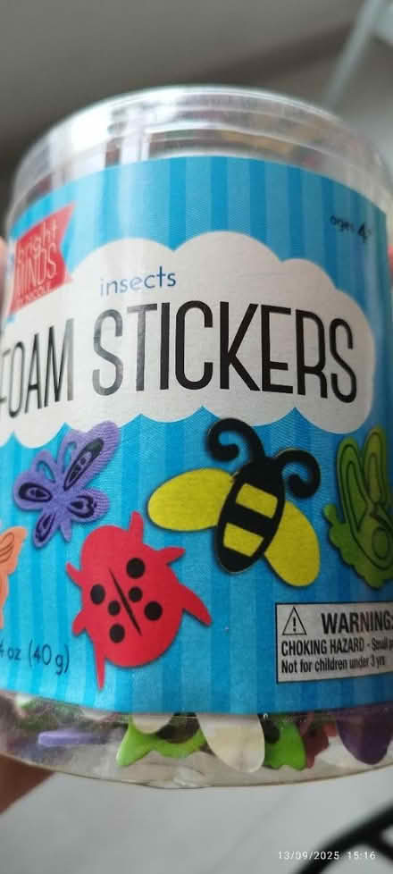Photo of free Insect foam stickers (Tpy) #1