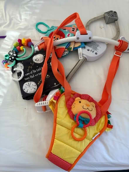 Photo of free Jumperoo and baby toys/ soft books (Botley, Oxford, OX2) #1