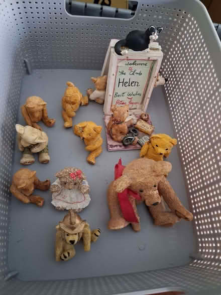 Photo of free Colour box bears (High Brooms TN4) #1