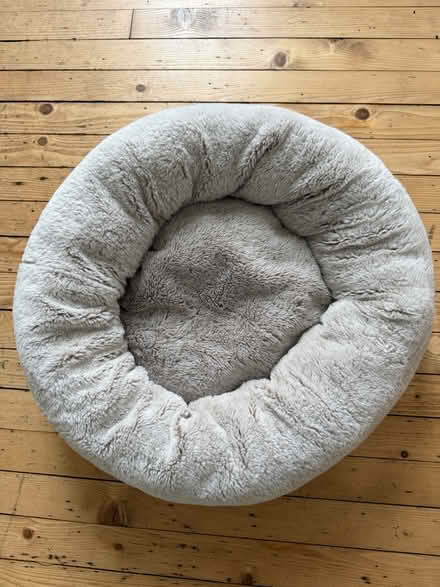 Photo of free Cat / small dog bed - 55cm (Pollokshields, G41) #1