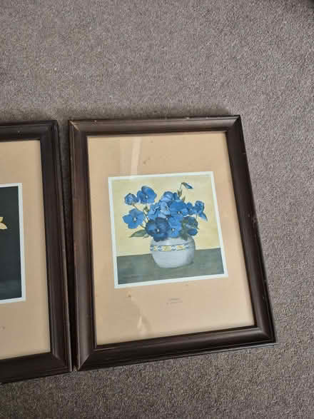 Photo of free 2 Vintage prints of flowers (Penrith CA11) #1