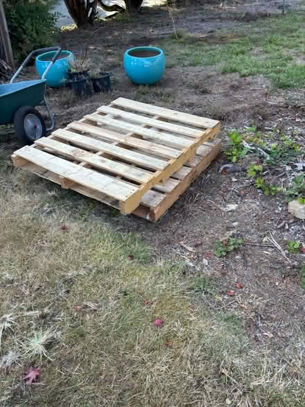 Photo of free Two free pallets (Bellevue) #1