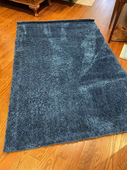 Photo of free Blue 4x6 shag rug (Park View/Columbia Heights) #1