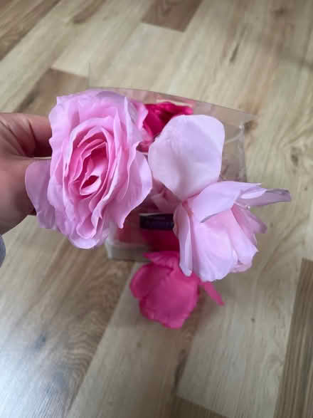 Photo of free Primark Rose Lights (Gilmerton Dykes Avenue) #2