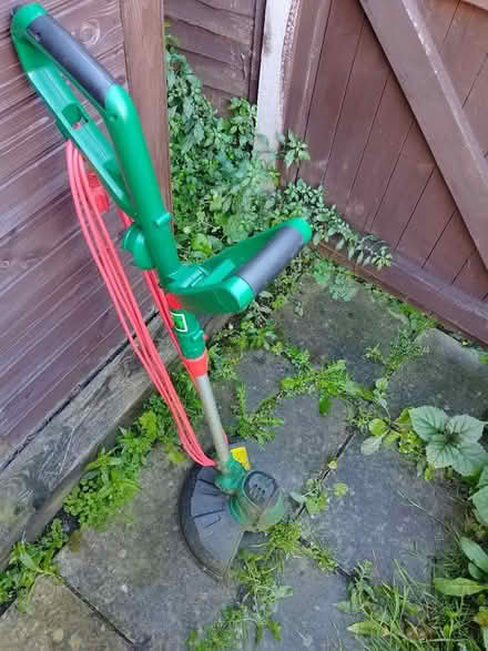 Photo of free Strimmer (Oulton NR32) #1