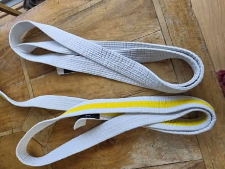 Photo of free Karate/ martial arts belts (N15 next to Chestnuts Park) #1