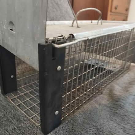 Photo of free Humane rat trap (Hurst Golf Course RG41) #1