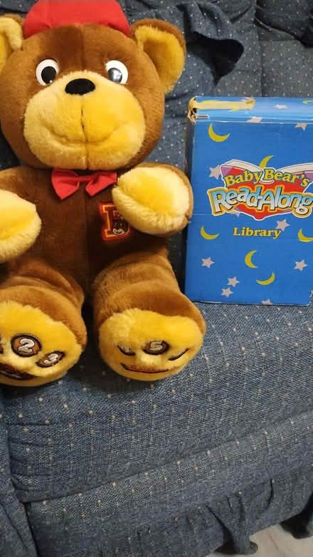 Photo of free Baby bear with books (Allen) #1