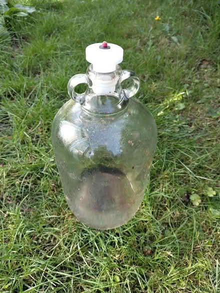 Photo of free Demijohn with lid (IP2) #1