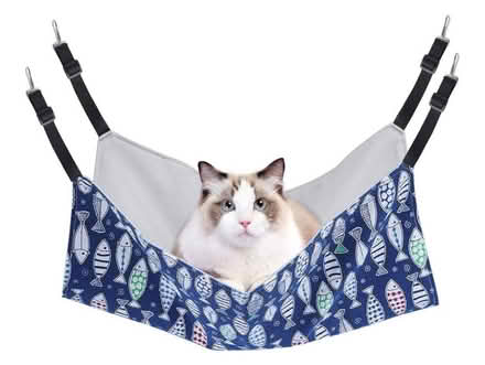 Photo of Ferret/cat hammock (Drexel Hill) #1