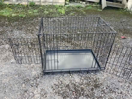 Photo of free Dog crate (Kingsway) #2
