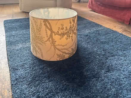 Photo of free SilkLampshade (N16 Clissold) #1