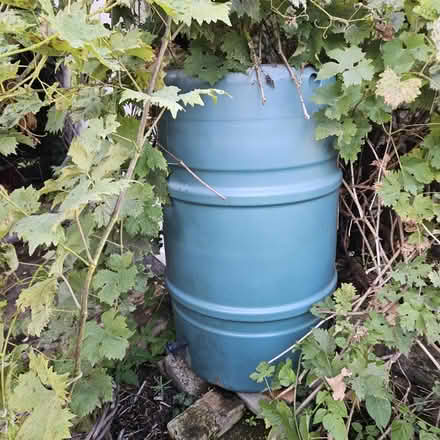 Photo of free Water collecter (Langley) #2