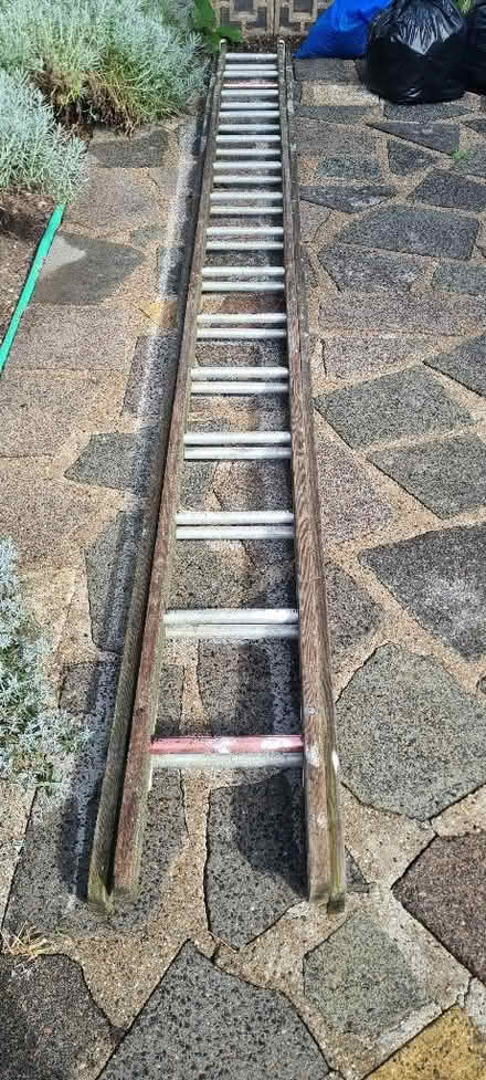 Photo of free Ladder (Beckenham BR3) #1