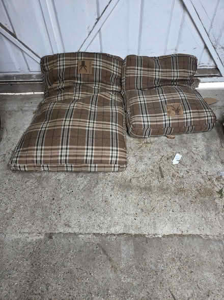 Photo of free Dog Bed Cushions, Removable Covers (DA5) #1