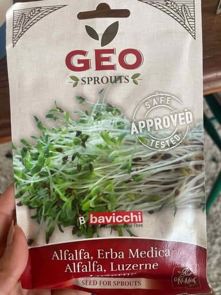 Photo of free Sprouts growing kit with jar (Clapton E5) #3