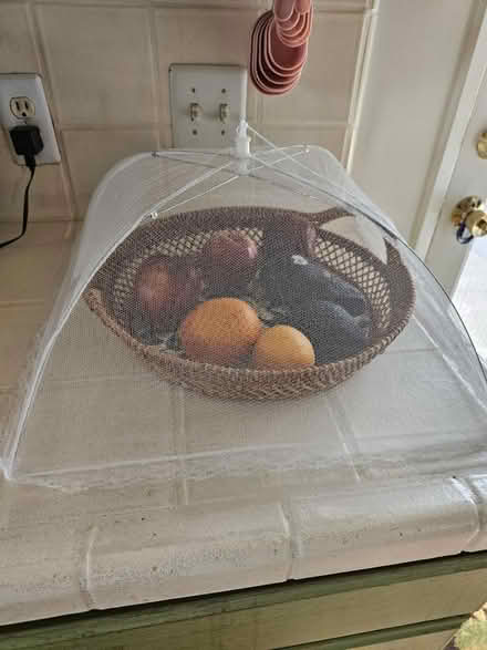 Photo of free 3 Mesh Food Covers (South San Francisco) #1