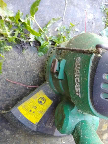 Photo of free Strimmer (Oulton NR32) #2