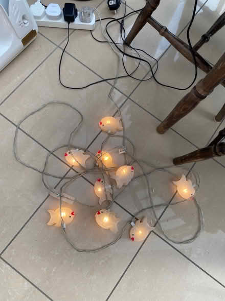 Photo of free Fish shaped fairy lights (Hurstpierpoint BN6) #2
