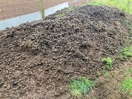 Photo of free Organic horse manure (Llandrindod LD1) #1