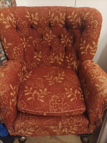 Photo of free Chair (Ipswich IP3) #1