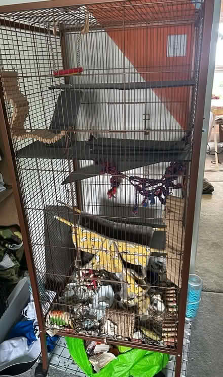 Photo of free Large cage for rats (Boxmoor, HP1) #1