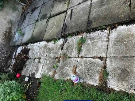 Photo of free Pavers (Thorpe Hamlet NR1) #1