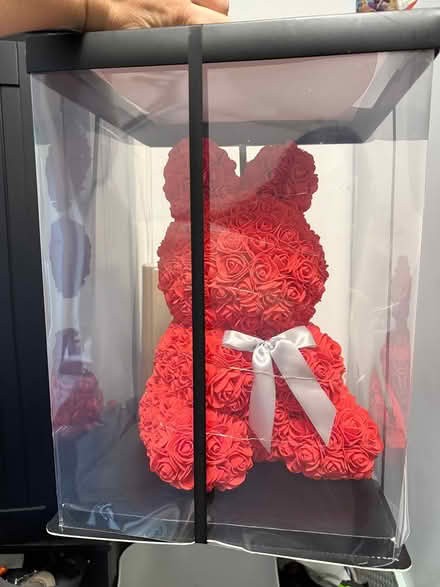 Photo of free Light up bear (Burham Rochester) #1