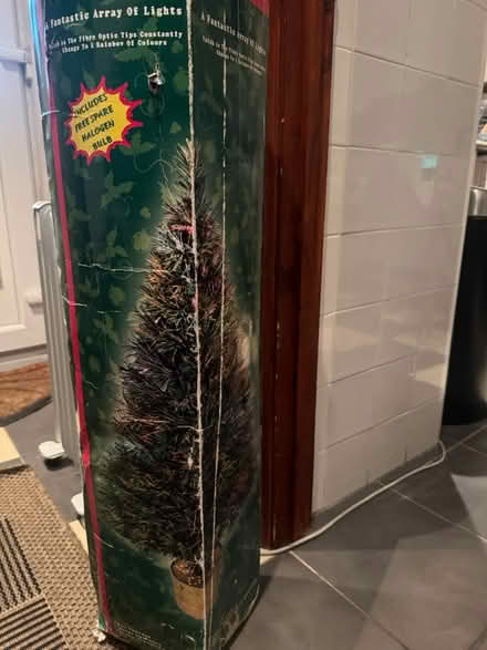 Photo of free Christmas Tree (Forest hill SE23) #1